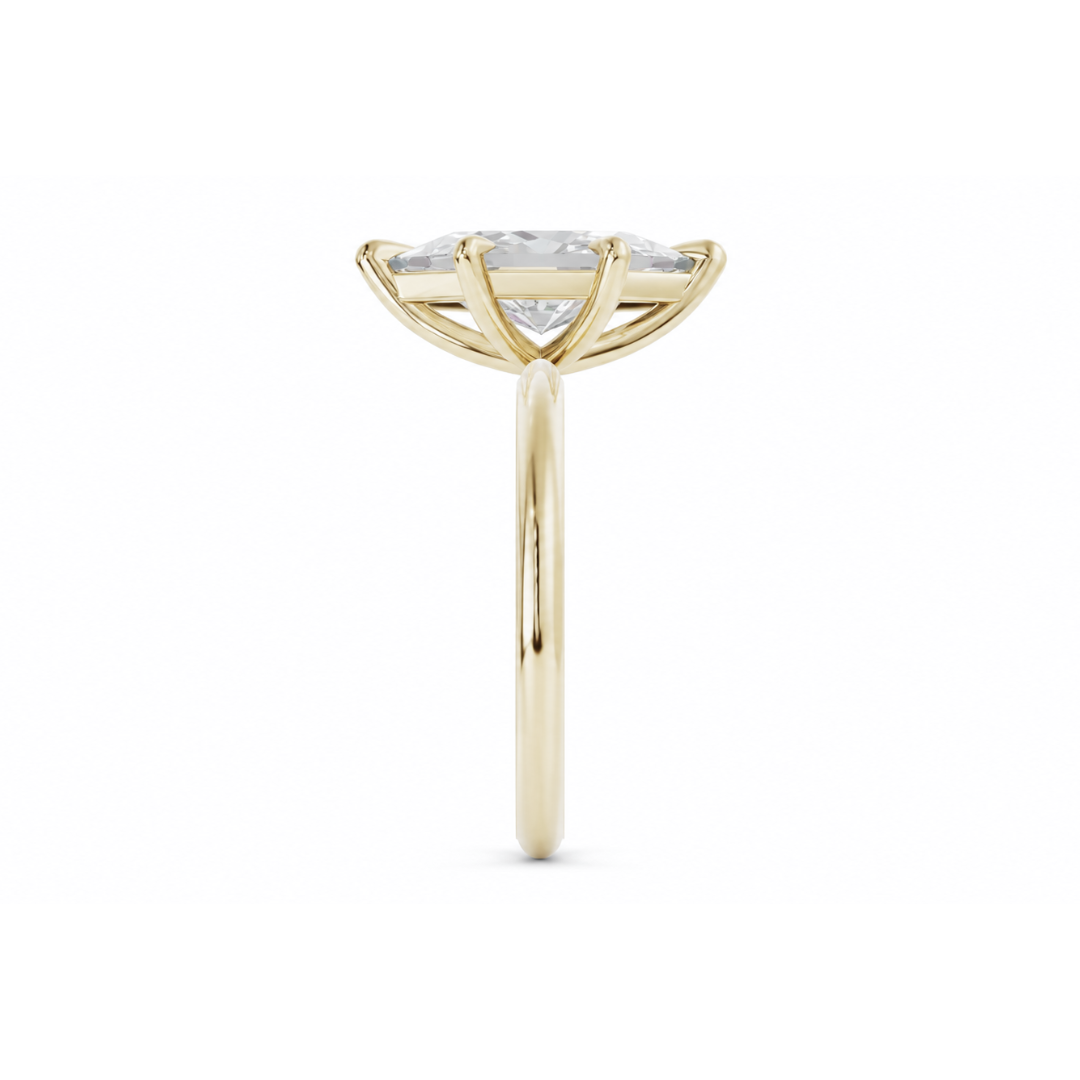 Hexagonal Diamond, High Profile Claw Prong