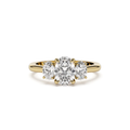 Oval Trilogy with Cathedral Setting