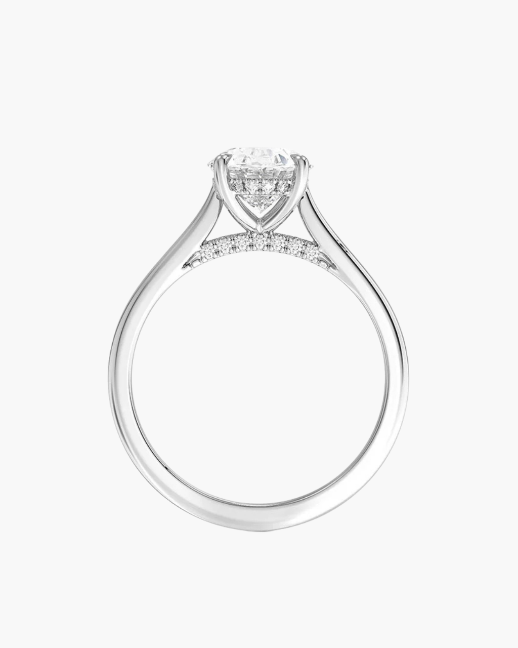 Cathedral with Pavé and Hidden Halo