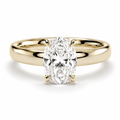Elongated Cushion Diamond, Cigar Band Setting