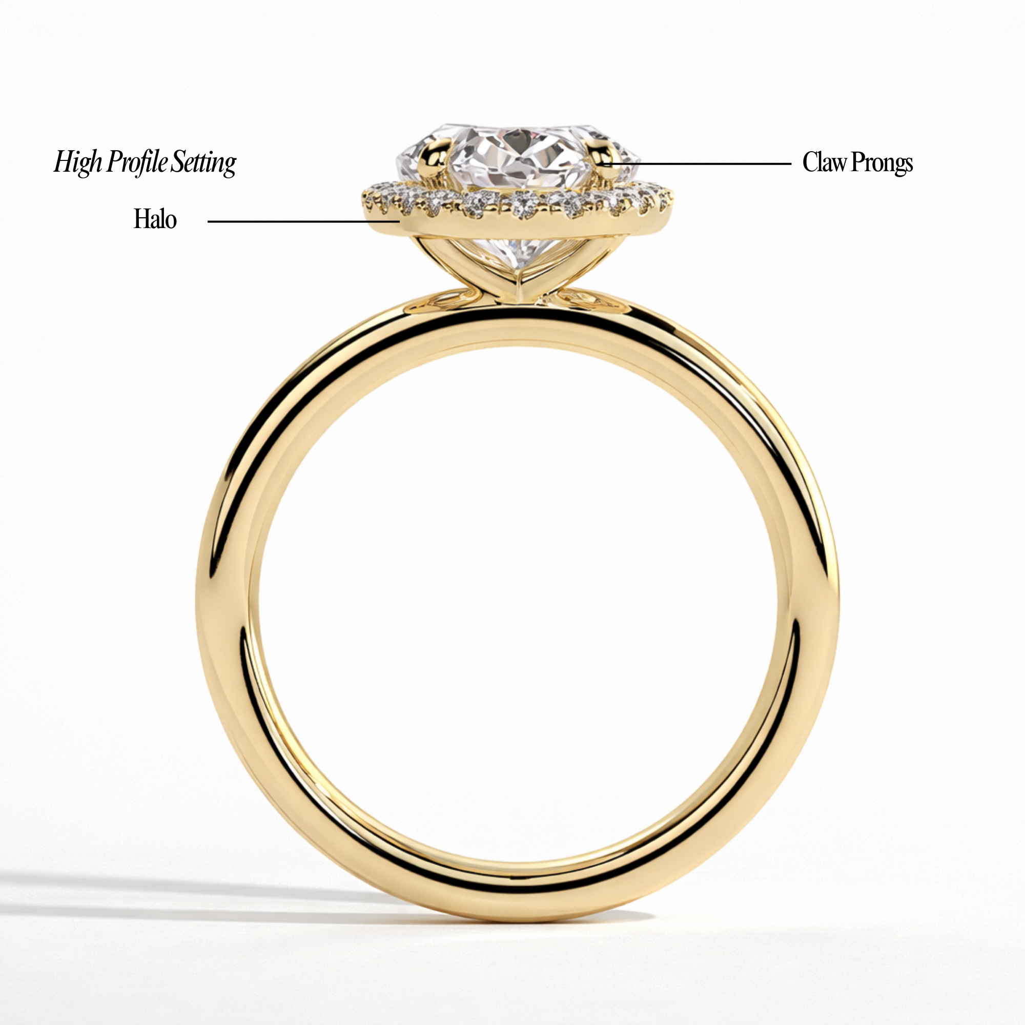 Halo with Claw Prongs